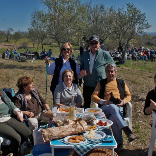 Almendro en flor 2026 (14)